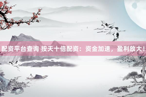 配资平台查询 按天十倍配资：资金加速，盈利放大！