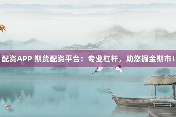 配资APP 期货配资平台：专业杠杆，助您掘金期市！