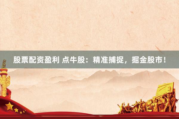 股票配资盈利 点牛股：精准捕捉，掘金股市！