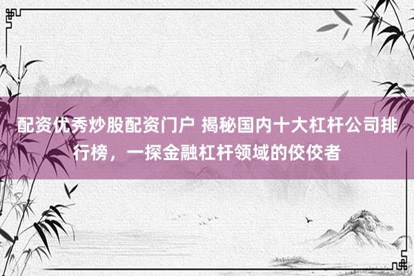配资优秀炒股配资门户 揭秘国内十大杠杆公司排行榜，一探金融杠杆领域的佼佼者