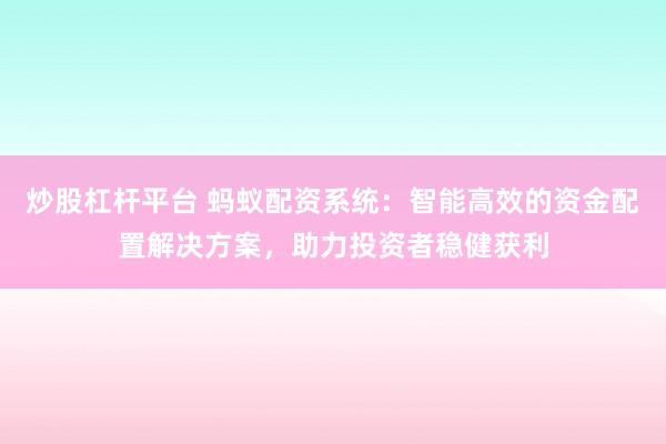 炒股杠杆平台 蚂蚁配资系统：智能高效的资金配置解决方案，助力投资者稳健获利