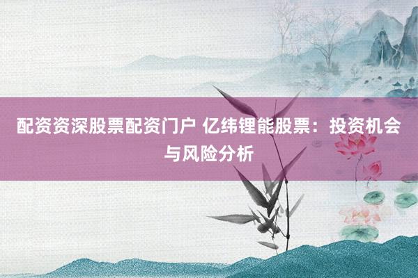 配资资深股票配资门户 亿纬锂能股票：投资机会与风险分析