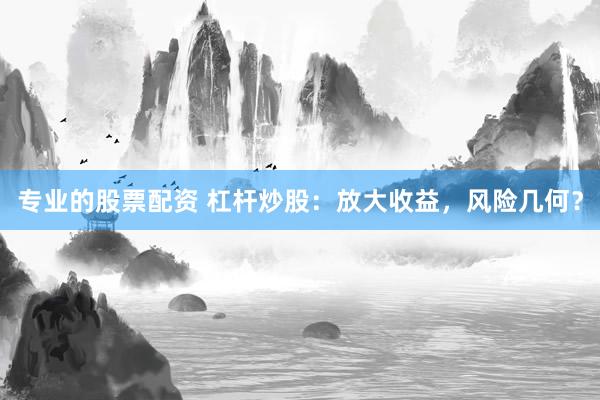 专业的股票配资 杠杆炒股：放大收益，风险几何？