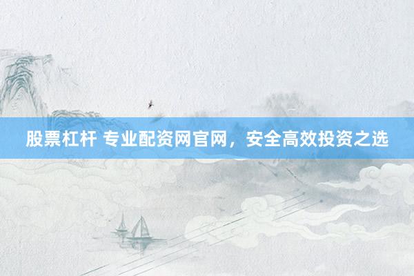 股票杠杆 专业配资网官网，安全高效投资之选