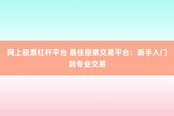 网上股票杠杆平台 最佳股票交易平台：新手入门到专业交易