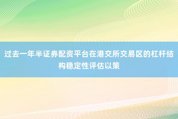 过去一年半证券配资平台在港交所交易区的杠杆结构稳定性评估以策