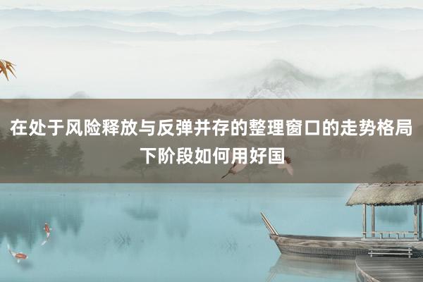 在处于风险释放与反弹并存的整理窗口的走势格局下阶段如何用好国