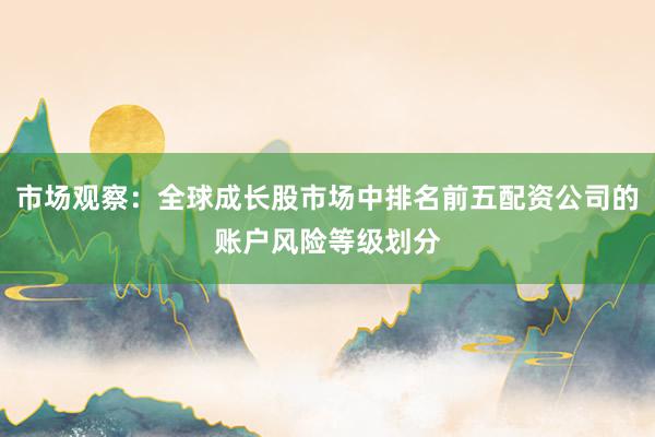 市场观察：全球成长股市场中排名前五配资公司的账户风险等级划分
