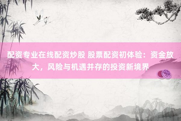 配资专业在线配资炒股 股票配资初体验：资金放大，风险与机遇并存的投资新境界
