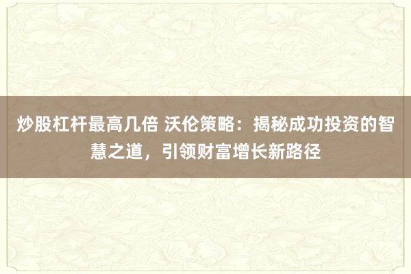 炒股杠杆最高几倍 沃伦策略：揭秘成功投资的智慧之道，引领财富增长新路径