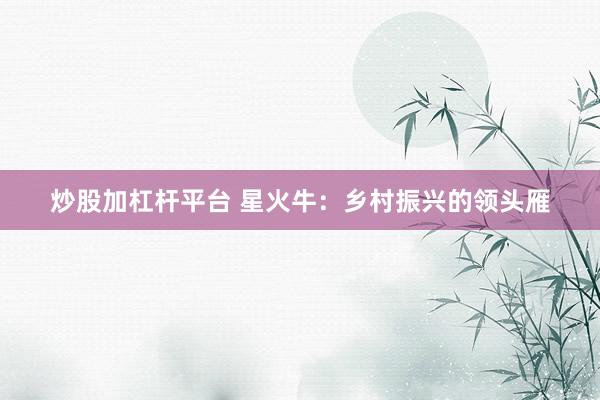炒股加杠杆平台 星火牛：乡村振兴的领头雁