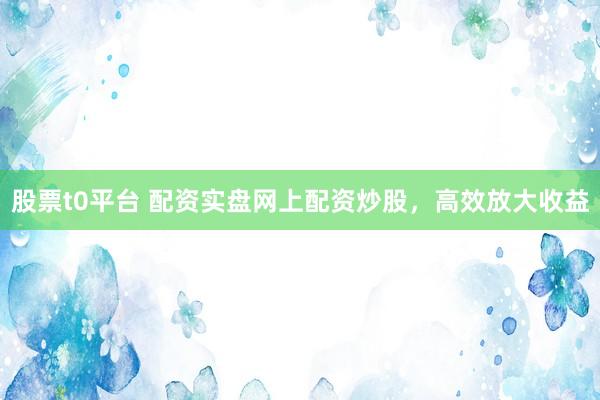 股票t0平台 配资实盘网上配资炒股，高效放大收益