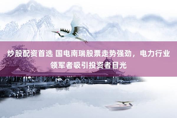 炒股配资首选 国电南瑞股票走势强劲，电力行业领军者吸引投资者目光